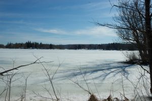 Frozen lakes of Lily Dale