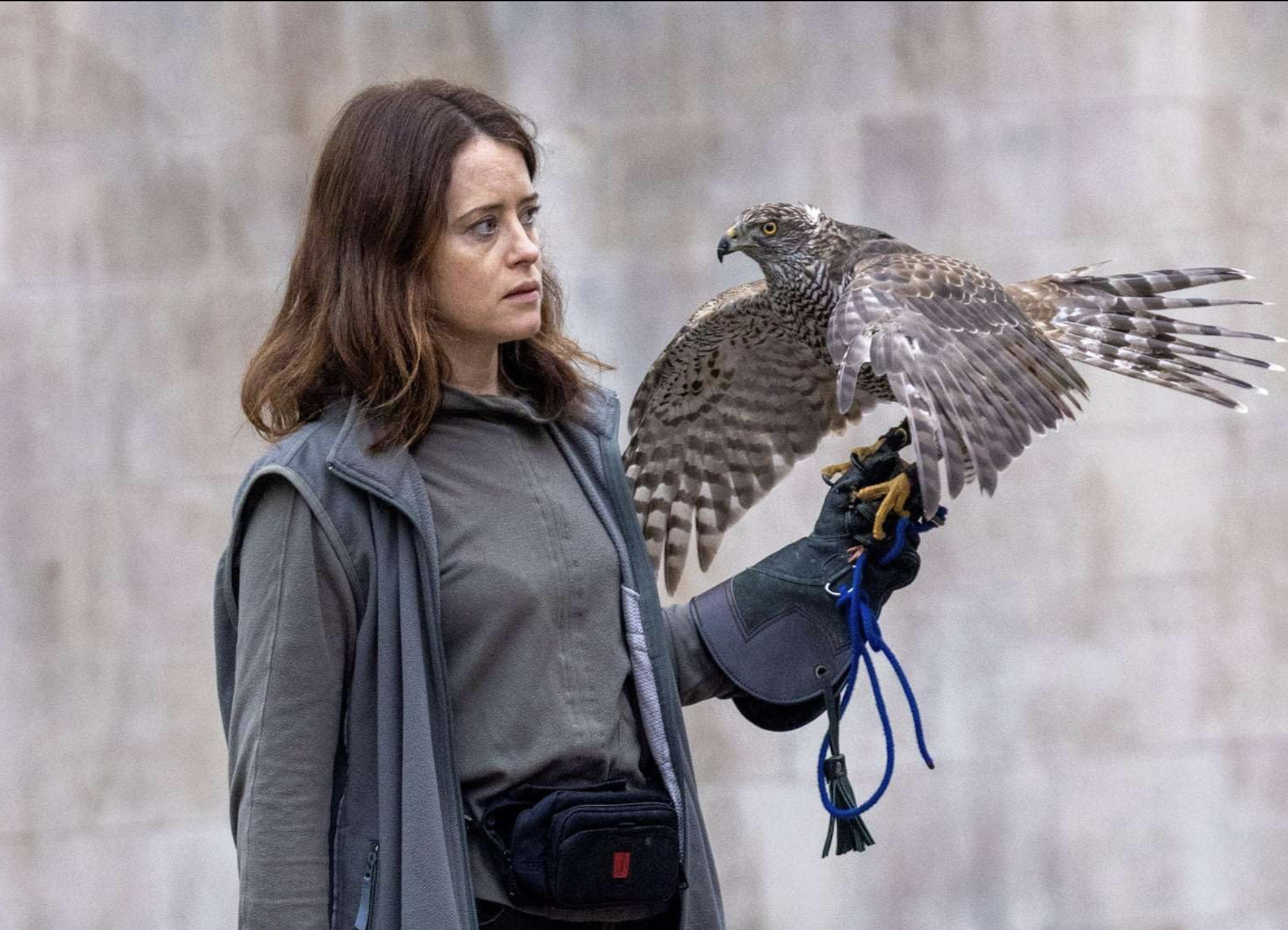 H Is for Hawk – BFI LFF